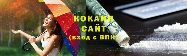 индика Бронницы